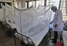 ডেঙ্গু যাঁদের জন্য ঝুঁকিপূর্ণ