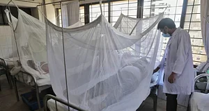 ডেঙ্গু যাঁদের জন্য ঝুঁকিপূর্ণ